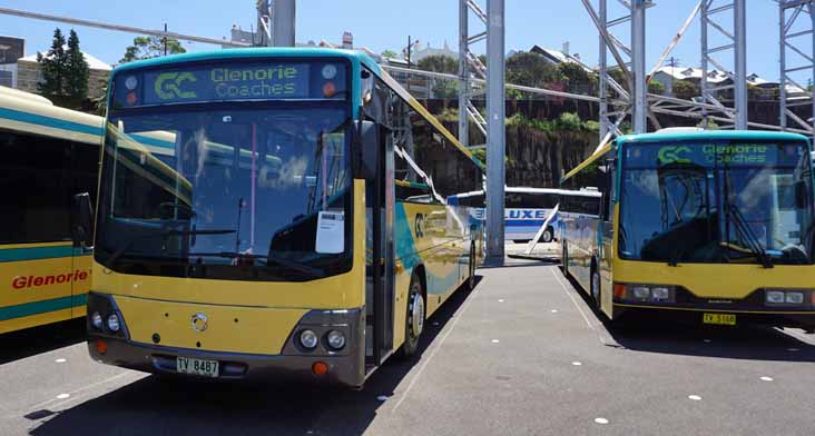 Glenorie Irisbus Eurorider Custom SB50 TV8487 & Volvo B10M Custom TV516B
